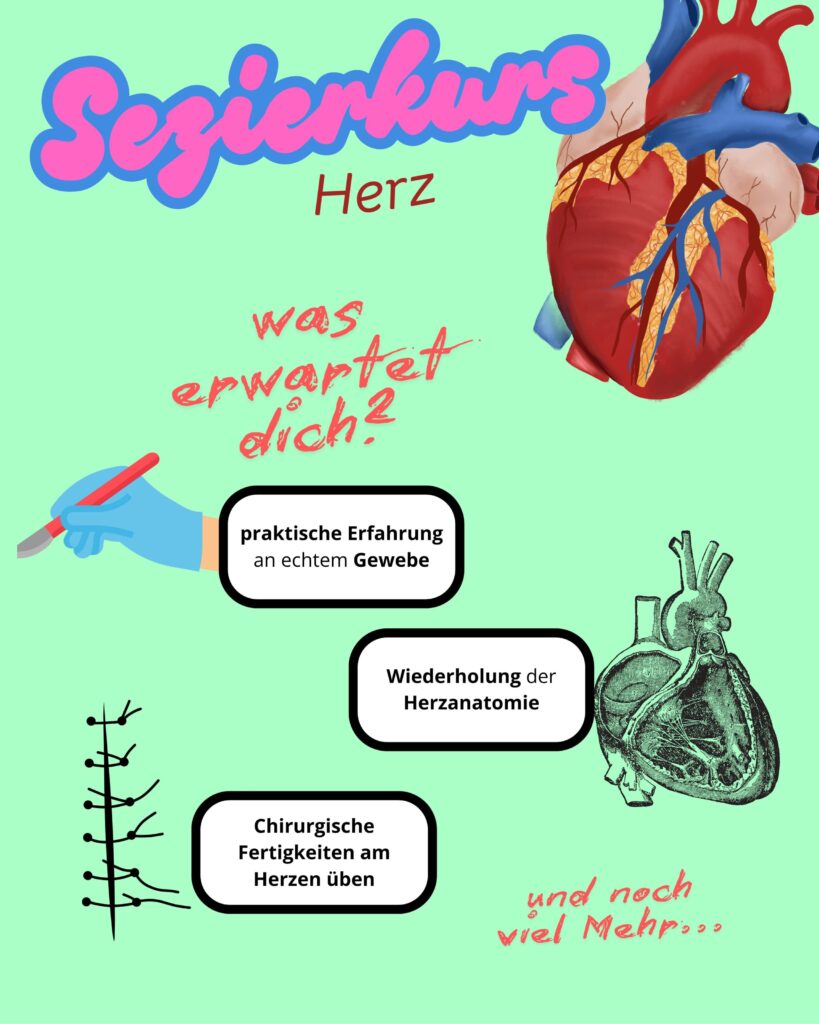 Sezierkurs