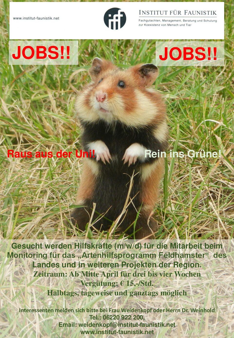 Du betrachtest gerade Mitarbeiter*in/Kartierhelfer*in für Artenhilfsprogramm Feldhamster