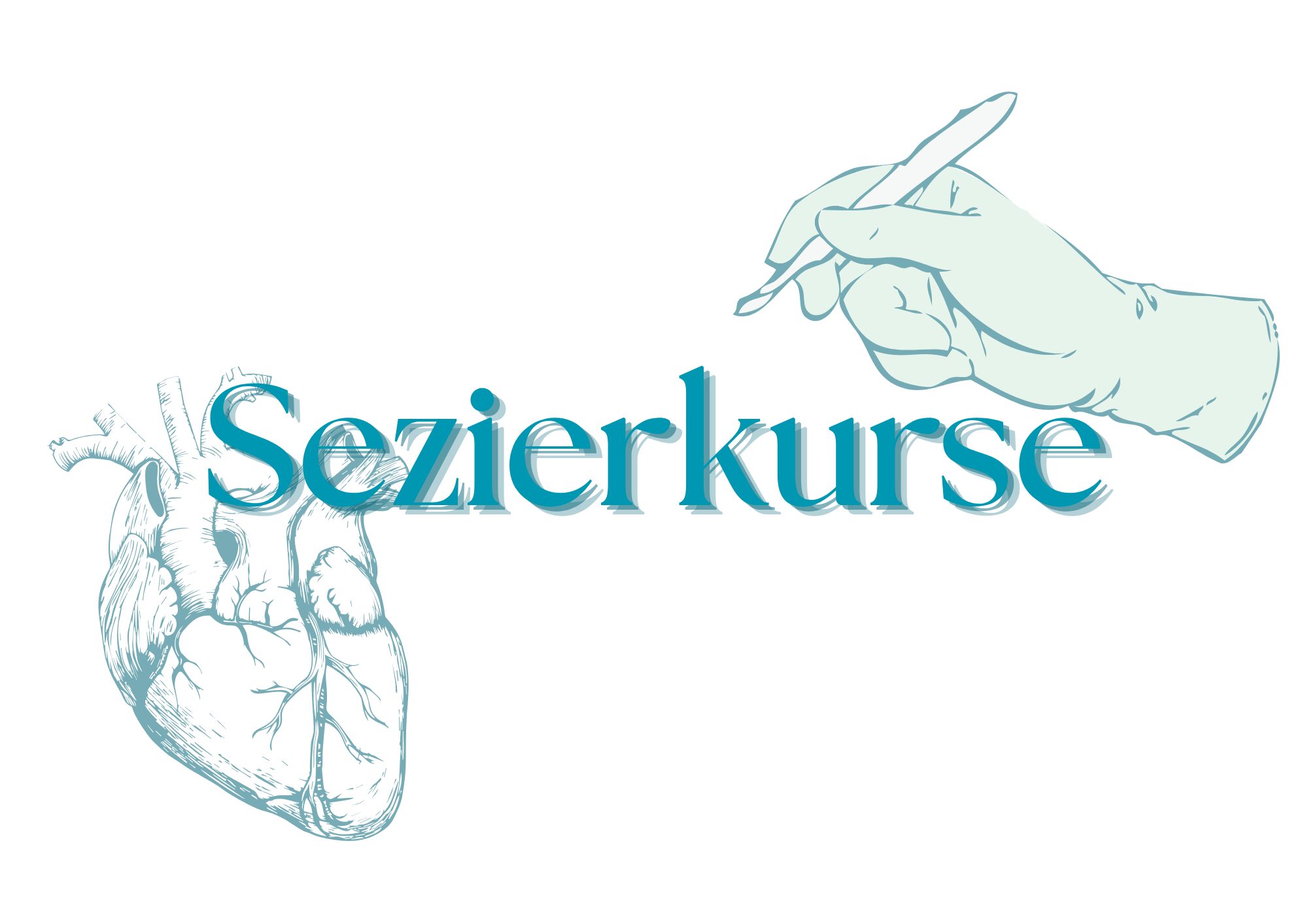 Sezierkurs Cover